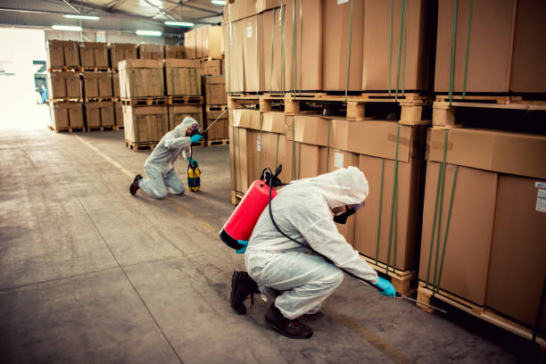 Best Pest Prevention Services  in Holt, AL