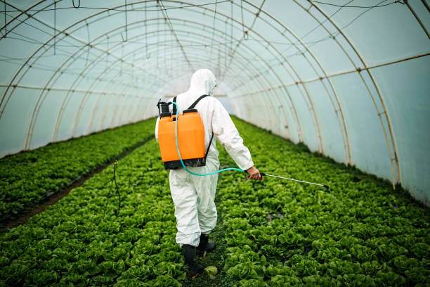 Best Affordable Pest Control Services  in Holt, AL