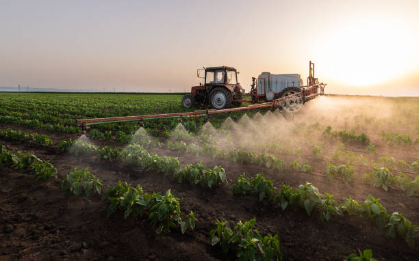 Best Commercial Pest Control Services  in Holt, AL