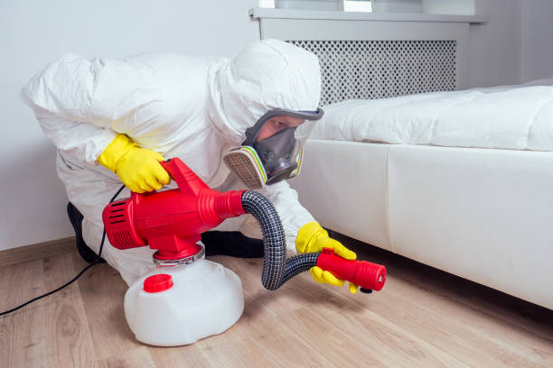 Best Pest Control Near Me in Holt, AL
