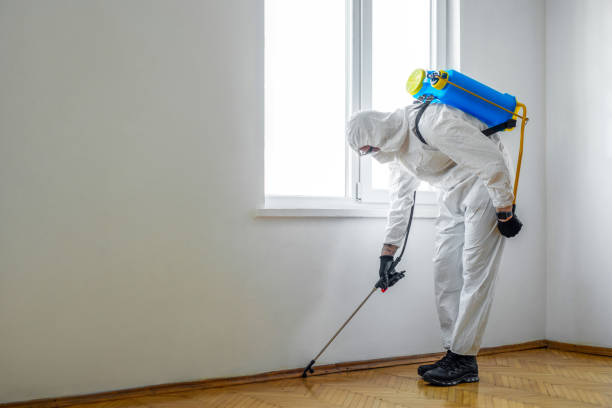 Best Termite Control Services  in Holt, AL