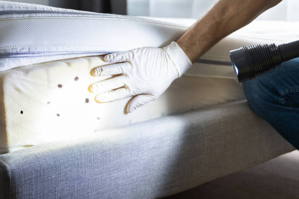 Best Best Pest Control Companies  in Holt, AL