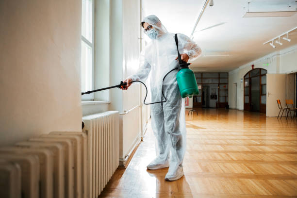 Best Mosquito Control Services  in Holt, AL