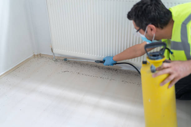 Best Pest Inspection Near Me  in Holt, AL